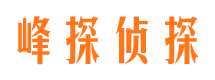 托克逊侦探公司